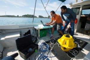 Internet pe fundul oceanului. Prima retea subacvatica ar putea anunta din timp un tsunami