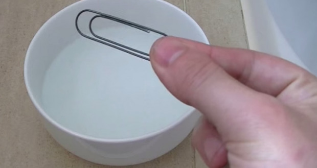 Curiosità |Esperimento Sorprendente..!! Cosa succede quando si mette una graffetta in acqua calda..VIDEO