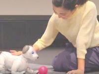 Noua versiune a cainelui-robot Aibo! Se misca natural si stabileste o legatura emotionala cu stapanul