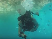 Imagini tulburatoare filmate intr-un paradis turistic. Ce-a vazut acest scafandru