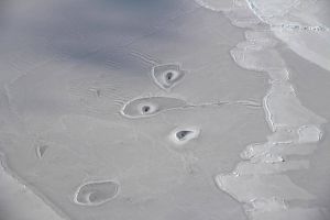 Cercetatorii NASA, uimiti de formele bizare care au aparut in gheata de la Polul Nord