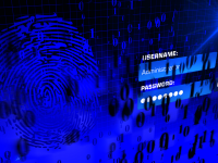 Peste 700 milioane de adrese de e-mail și parole s-au scurs în mediul online. Cum afli dacă ai fost afectat