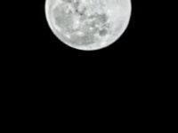 Fotografia care trădează secretul despre camera noului Huawei P30 Pro. Ce se observă în imagine