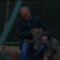 Vladimir Putin, in cusca unui leopard. Ce a facut presedintele Rusiei in prima zi la Soci
